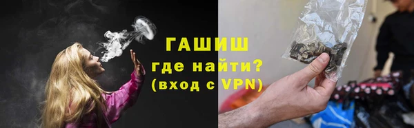 гашик Алексин