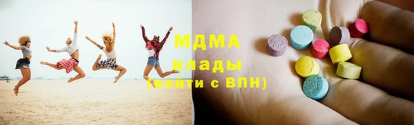 гашик Алексин