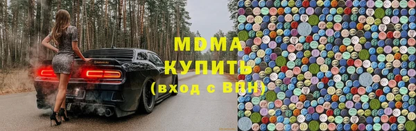 гашик Алексин