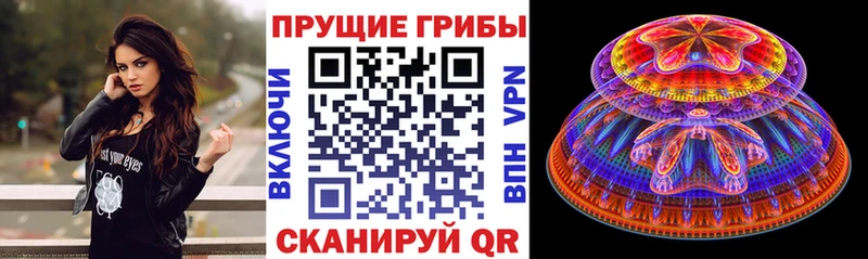 shop состав  где купить наркотик  Апатиты  Галлюциногенные грибы мицелий 